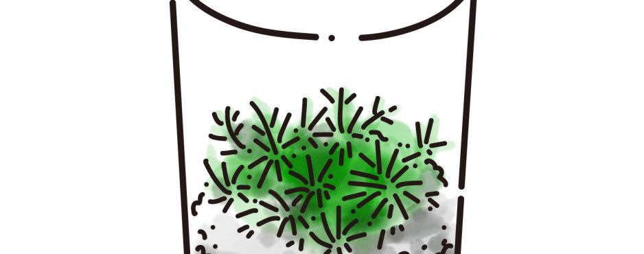 イラスト＿コケリウム